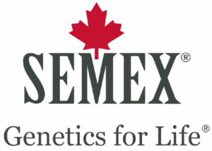 GFLsemex_Redandgrey__1_-removebg-preview.png